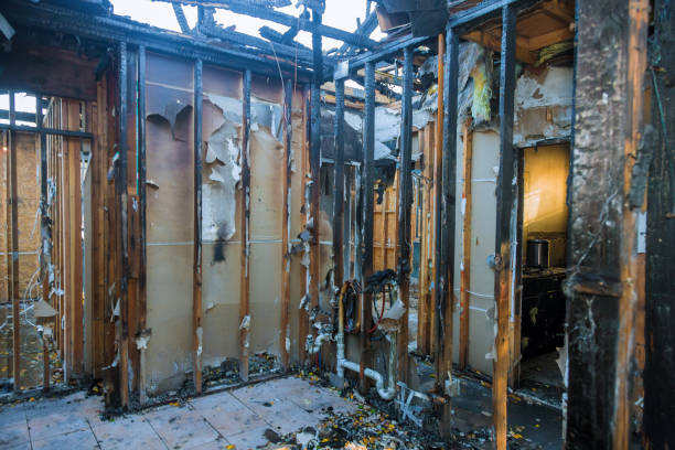 Professional Fire Damage Removal technician working in Pasadena, TX